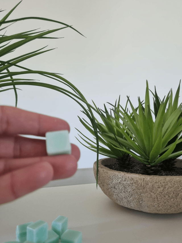 MENTHE CITRONNÉE fondants parfumés 
