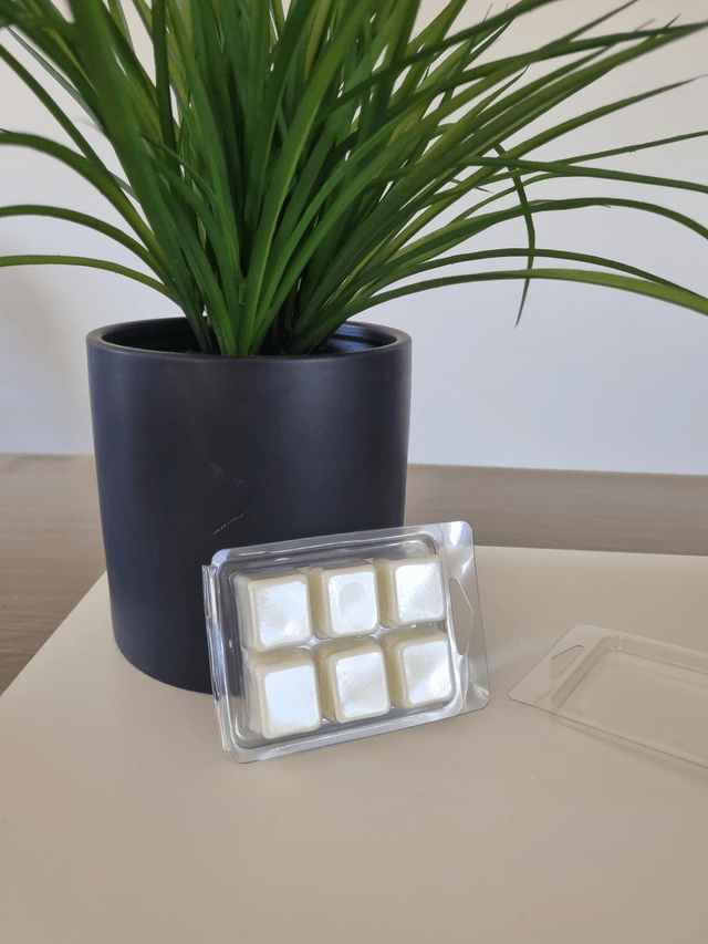 ANTI MOUSTIQUE  fondants parfumés 