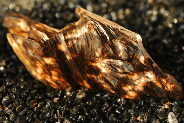 OUD fondants parfumés 